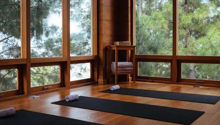 Dhensa Boutique Resort Punakha Facilités photo